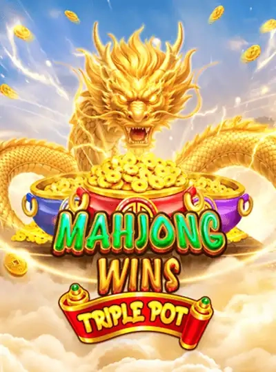 dsj211